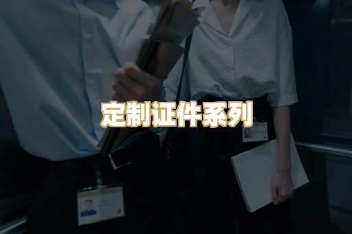 定制证件系列